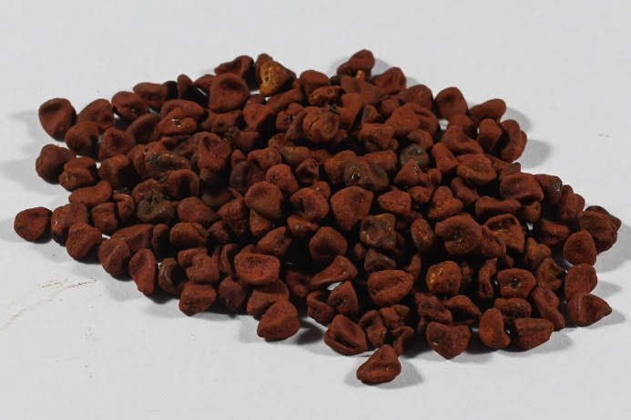 Annatto Seed