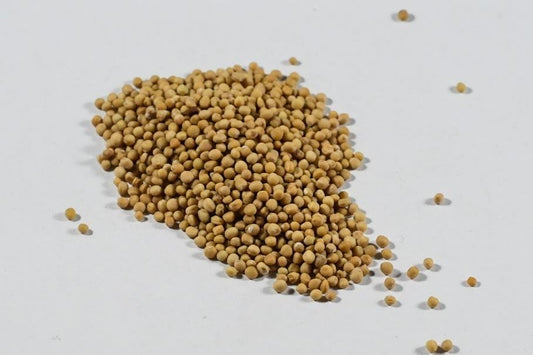 Mustard Seed